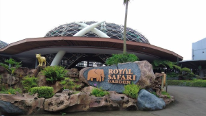 penginapan di puncak rekomendasi