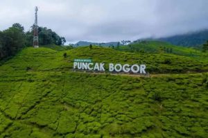 Puncak bogor