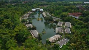 Cafe christmas dinner