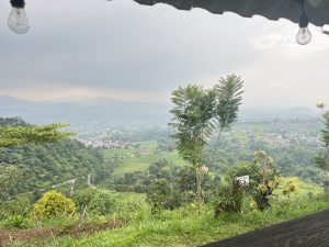 Warung bukit stroberi