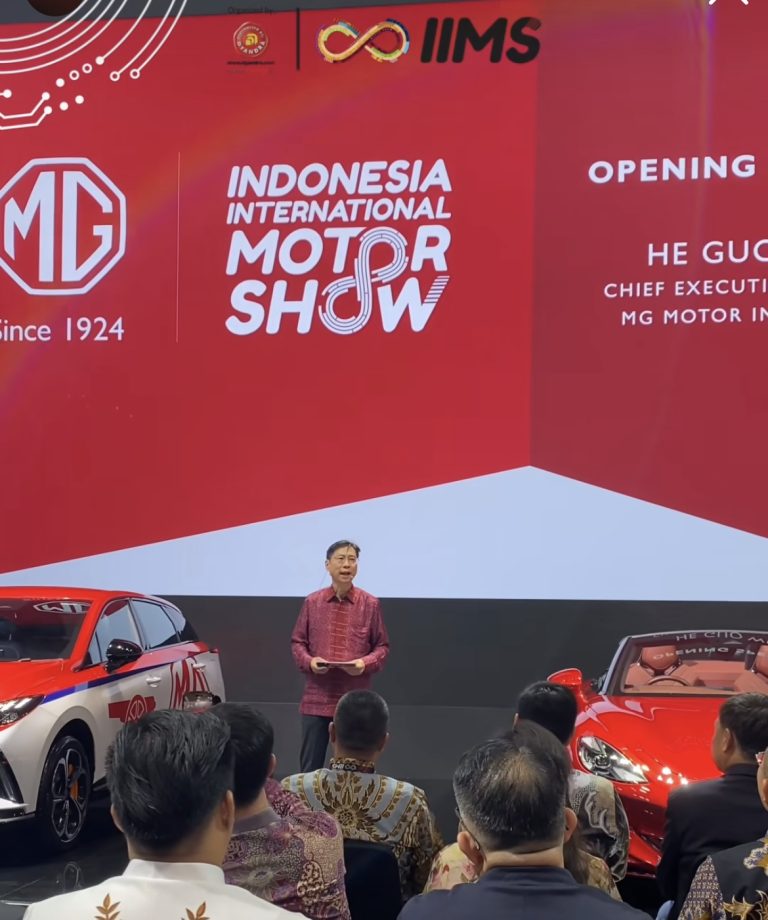 IIMS 29025