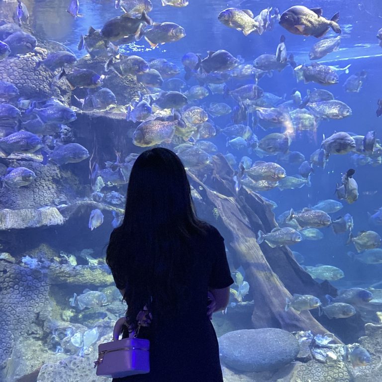 seaworld
