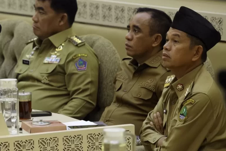 Dedi Mulyadi