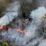 Kebakaran di hutan Kalimantan