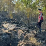 Kebakaran Hebat Landa Gunung Batur Kintamani