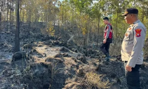 Kebakaran Hebat Landa Gunung Batur Kintamani