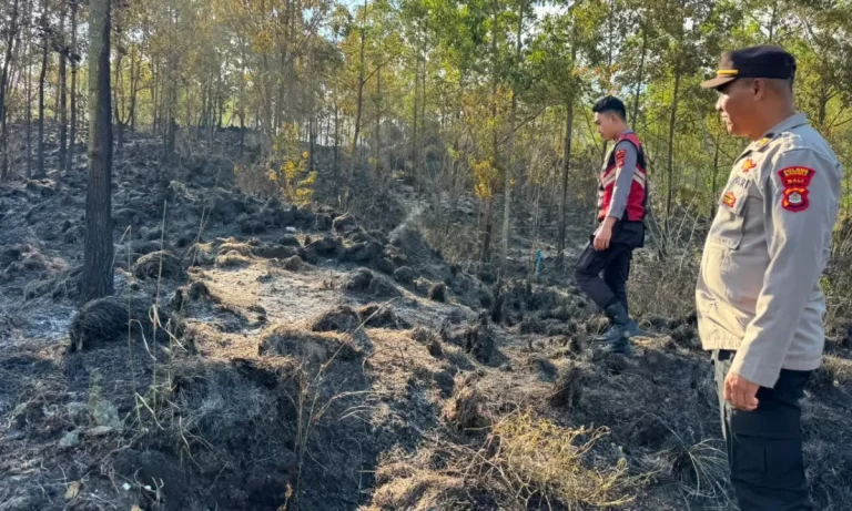 Kebakaran Hebat Landa Gunung Batur Kintamani