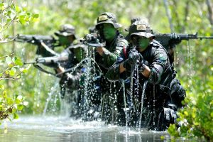 HUT TNI ke-81