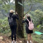 18 Rekomendasi Curug di Bogor dan Estimasi Jarak Jalan Kaki Menuju Air Terjun