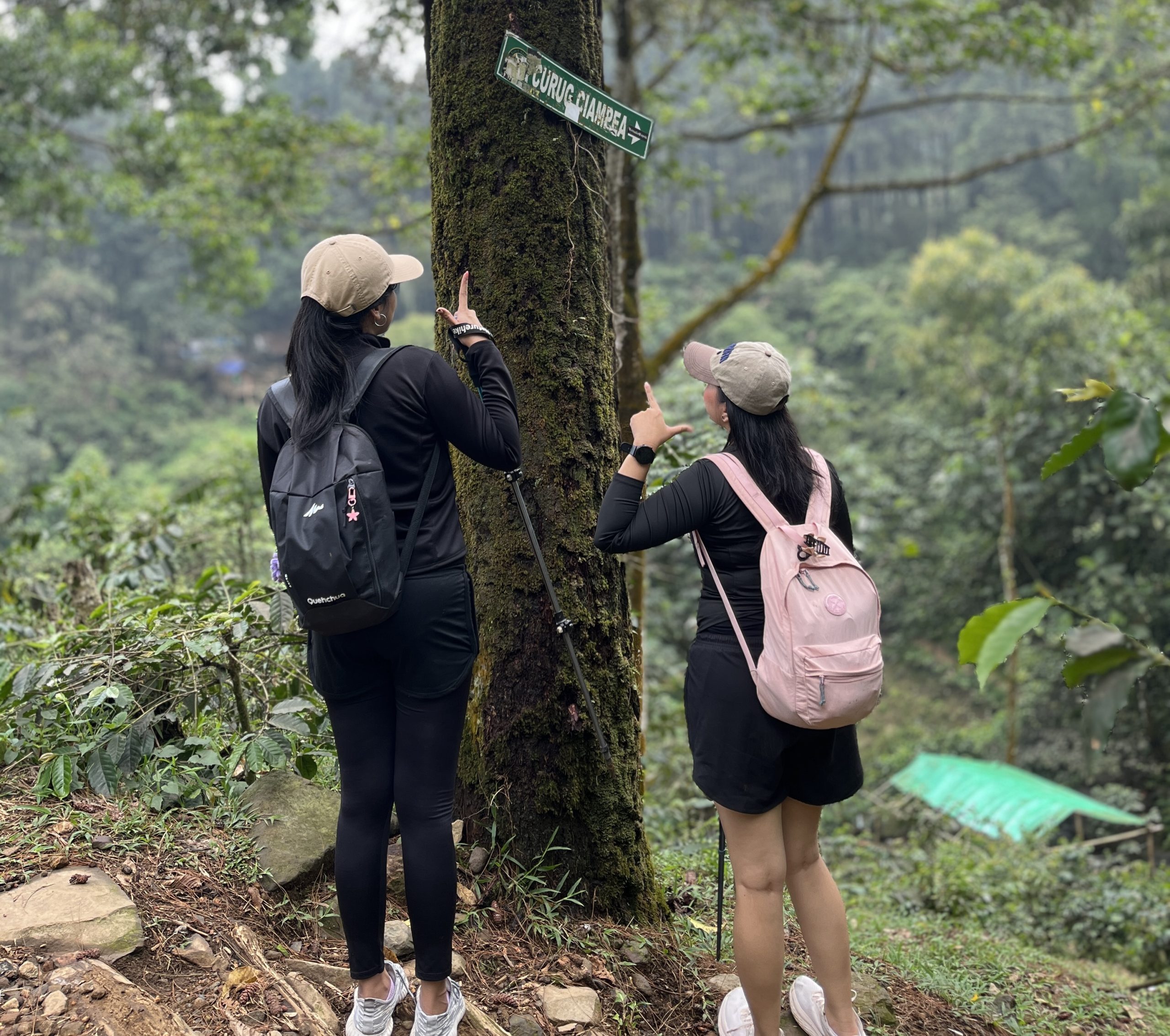 18 Rekomendasi Curug di Bogor dan Estimasi Jarak Jalan Kaki Menuju Air Terjun