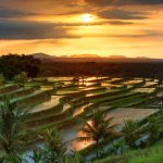 wisata ramah lingkungan
