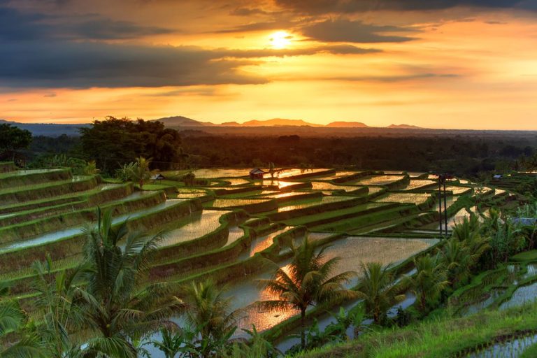 wisata ramah lingkungan